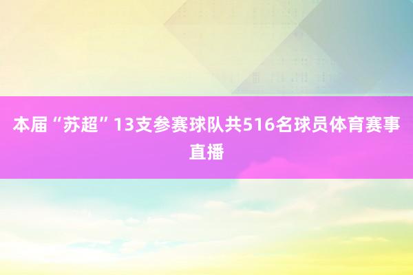 本届“苏超”13支参赛球队共516名球员体育赛事直播