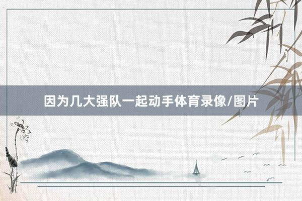 因为几大强队一起动手体育录像/图片