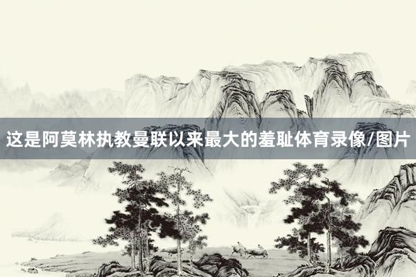 这是阿莫林执教曼联以来最大的羞耻体育录像/图片