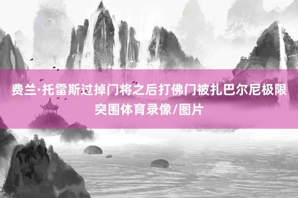 费兰·托雷斯过掉门将之后打佛门被扎巴尔尼极限突围体育录像/图片