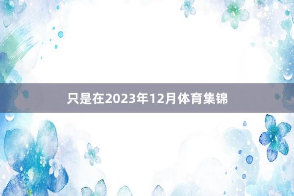 只是在2023年12月体育集锦