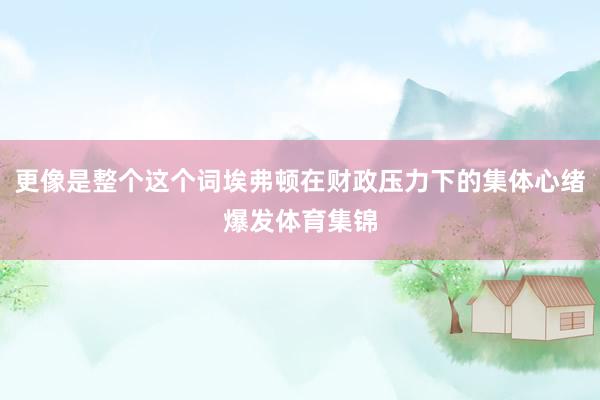更像是整个这个词埃弗顿在财政压力下的集体心绪爆发体育集锦