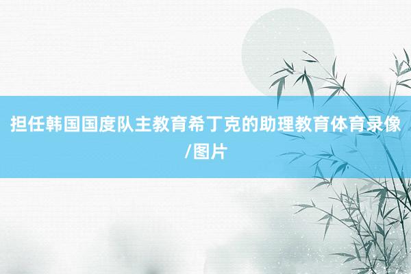 担任韩国国度队主教育希丁克的助理教育体育录像/图片