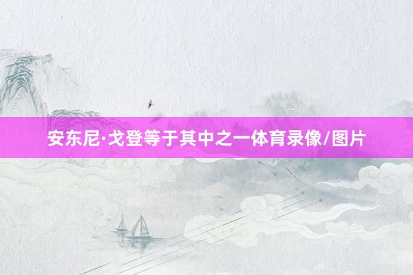 安东尼·戈登等于其中之一体育录像/图片