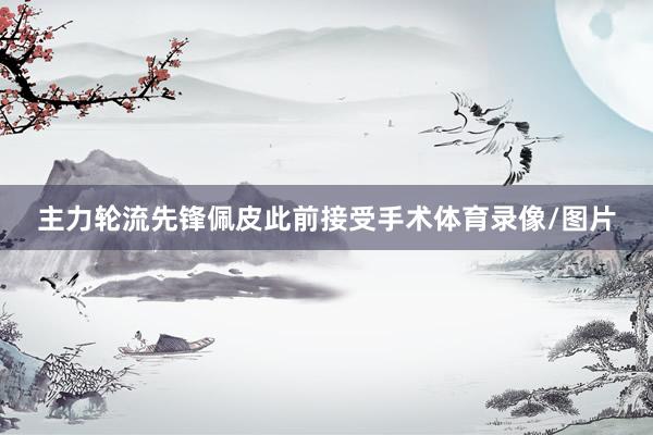 主力轮流先锋佩皮此前接受手术体育录像/图片