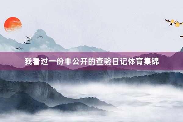 我看过一份非公开的查验日记体育集锦