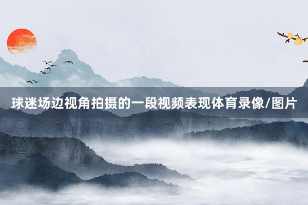 球迷场边视角拍摄的一段视频表现体育录像/图片