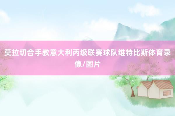 莫拉切合手教意大利丙级联赛球队维特比斯体育录像/图片