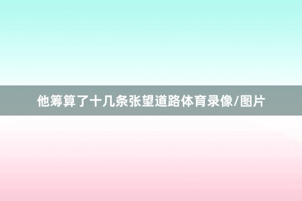 他筹算了十几条张望道路体育录像/图片