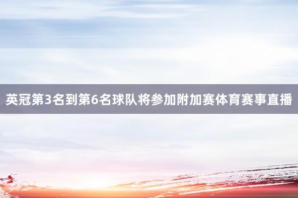 英冠第3名到第6名球队将参加附加赛体育赛事直播