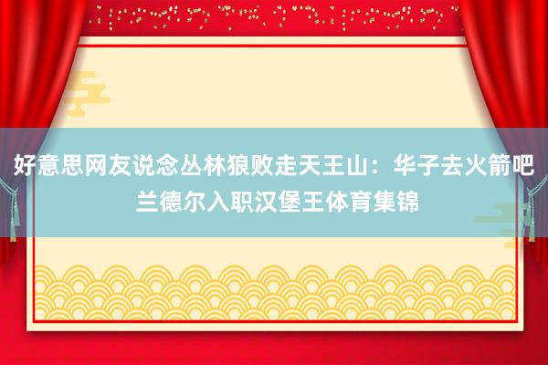 好意思网友说念丛林狼败走天王山：华子去火箭吧 兰德尔入职汉堡