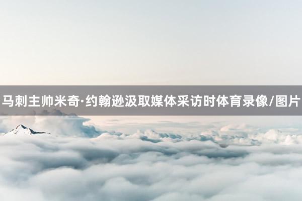 马刺主帅米奇·约翰逊汲取媒体采访时体育录像/图片