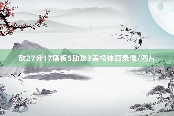 砍27分17篮板5助攻3盖帽体育录像/图片